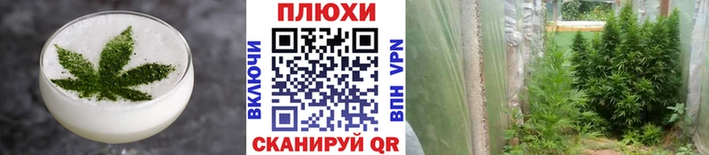 Canna-Cookies марихуана  Купить где  Плёс 