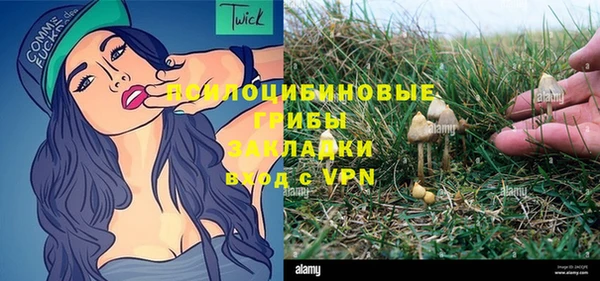 метадон Каменногорск