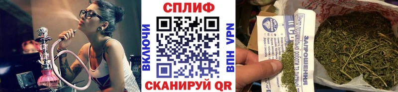 Каннабис OG Kush  Купить где  Плёс 